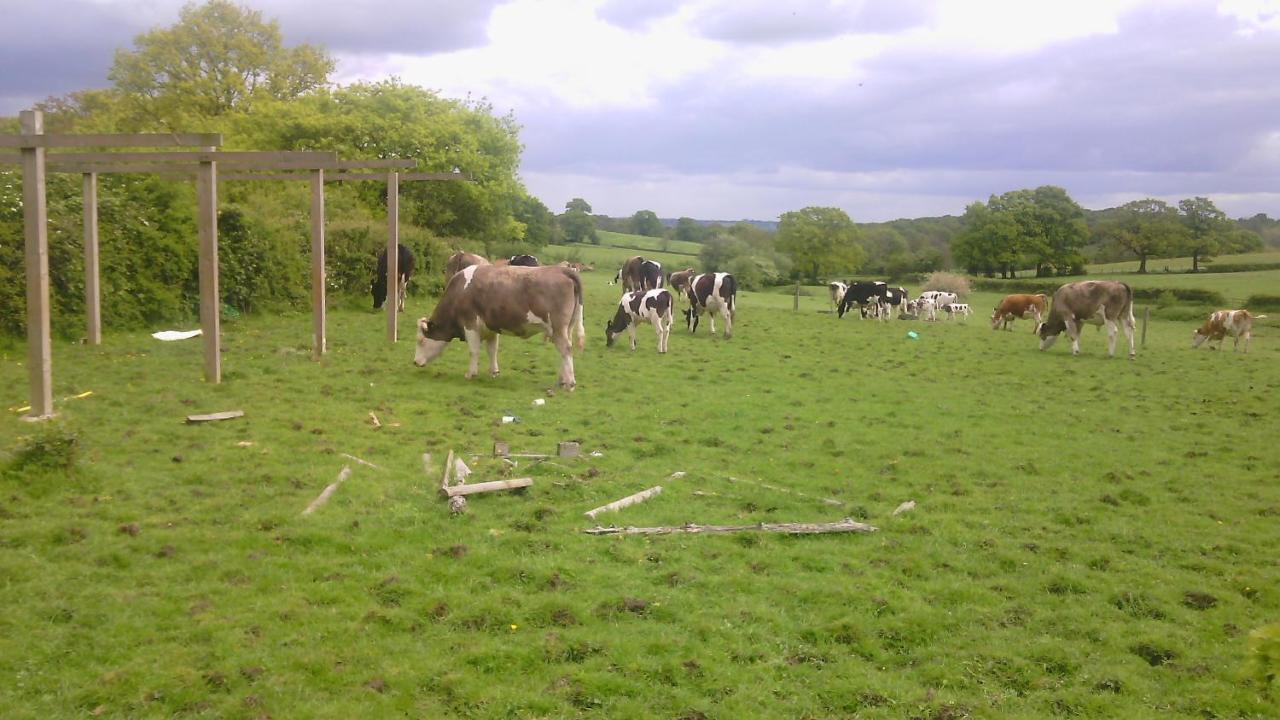 Beoley Lodge Redditch Exteriör bild